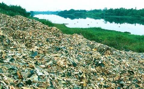 固體廢棄物的國際化先進處理技術(shù)